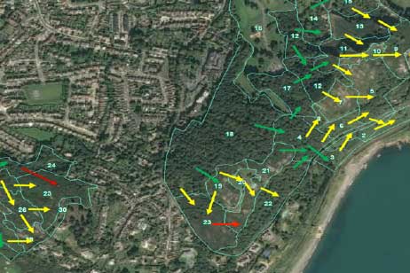 Wildfire Management Plan